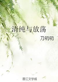 清纯与放荡封面