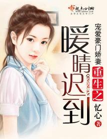 重生之暖晴迟到封面