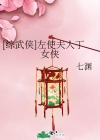 [综武侠]左使夫人丁女侠封面