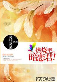 燃烧吧，暗恋君！封面