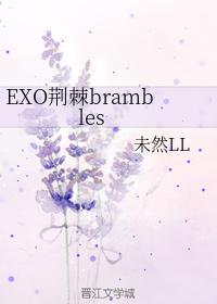 EXO荆棘blambles封面