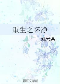 重生之怀凈封面