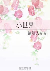 小世界封面