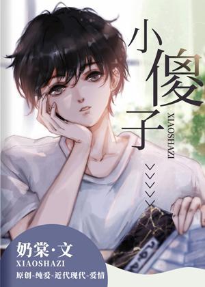小傻子封面