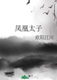 凤凰太子封面