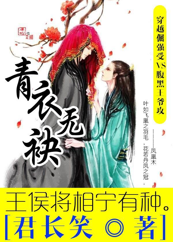 青衣无袂封面