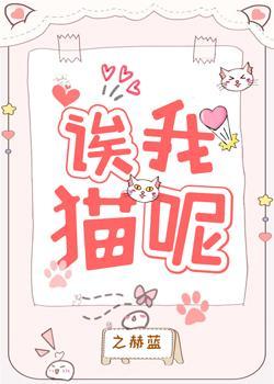 诶我猫呢封面