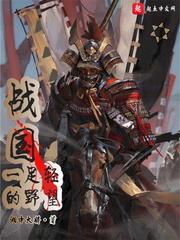 战国一足轻的野望封面