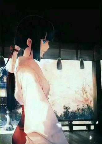 冷落阳光封面