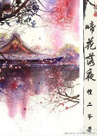 民国啼花落夜封面