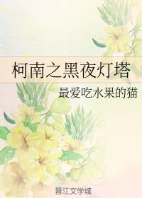 柯南之黑夜灯塔封面