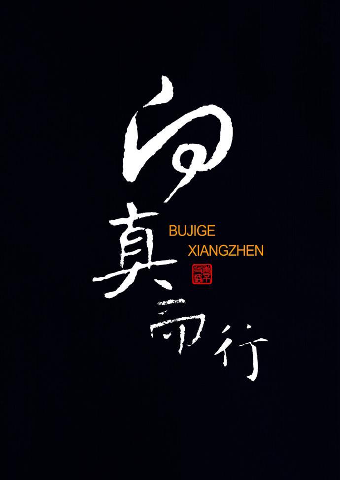向真而行封面