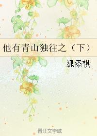 他有青山独往之（下）封面