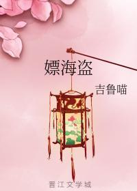 嫖海盗封面