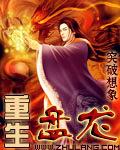 重生盘龙封面