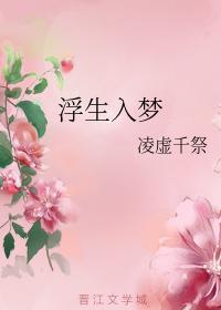 浮生入梦封面
