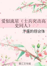 爱似流星封面