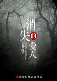 消失的爱人封面