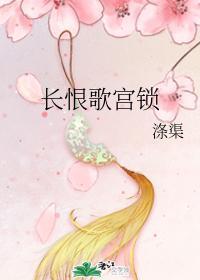 宫锁长恨封面
