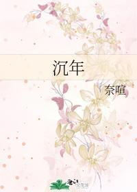 沈年封面