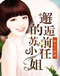 邂逅前任的苏小姐封面