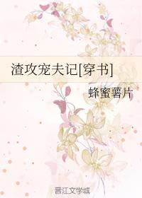 渣攻宠夫记[穿书]封面