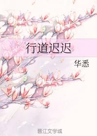 行道迟迟封面