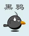 女人往事封面