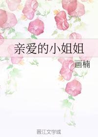 亲爱的小姐姐封面