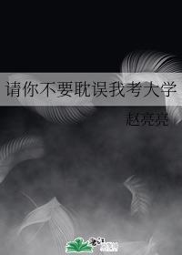 请你不要耽误我考大学封面