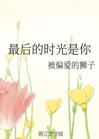 最后的时光是你封面