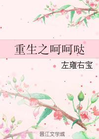 重生之呵呵哒封面