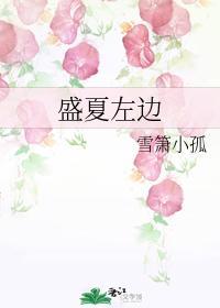 盛夏左边封面