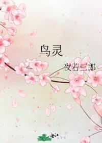 鸟灵封面
