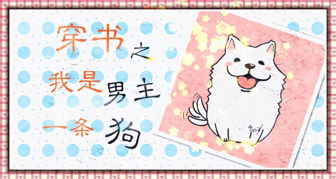 穿书之我是男主一条狗封面