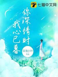 你深情时我心已暮封面