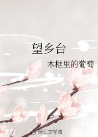 望乡臺封面