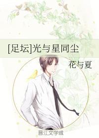 [足坛]光与星同尘封面