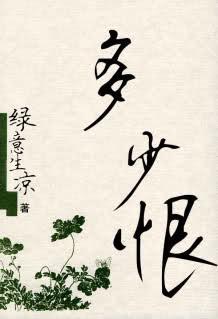 多少恨封面