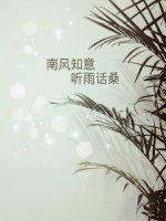 南风知意封面