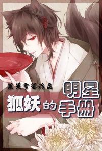 狐妖的明星手册封面