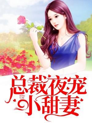 总裁夜宠小甜妻封面