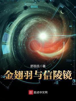 金翅羽与信陵镜封面