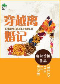 穿越离婚记封面