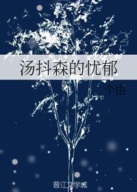 （论坛体）锤基 海森汤抖森的忧郁封面