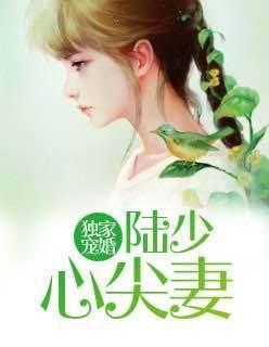 独家宠婚陆少心尖妻封面