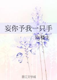 妄你予我一只手封面