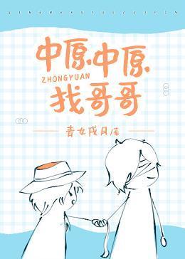 中原中原找哥哥封面
