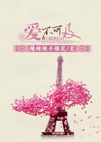 爱不可及封面