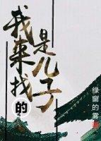 我是来找儿子的封面